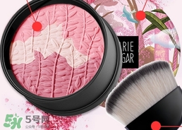 ��Ƥ���ʺ�ʲô��ɫ������?��Ƥ����ʲô��ɫ����ÿ�?